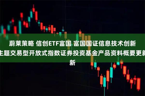 蔚莱策略 信创ETF富国 富国国证信息技术创新主题交易型开放式指数证券投资基金产品资料概要更新
