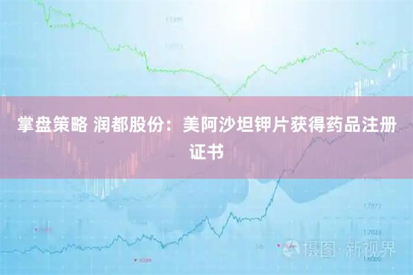 掌盘策略 润都股份：美阿沙坦钾片获得药品注册证书