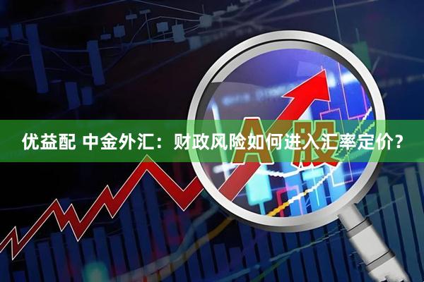 优益配 中金外汇：财政风险如何进入汇率定价？