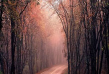 买股如何加杠杆:金股配资网交易平台-A股三大指数回调：沪指跌0.45% 银行股逆市走强